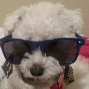 Meet your Posher, Ava